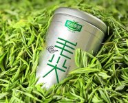 乐品乐茶特级毛尖2023新茶 明前春茶嫩芽茶叶礼盒装250g